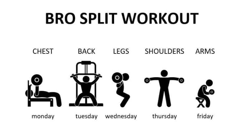 Bro Split